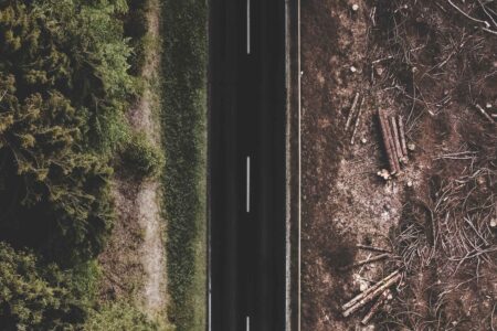 deforestation