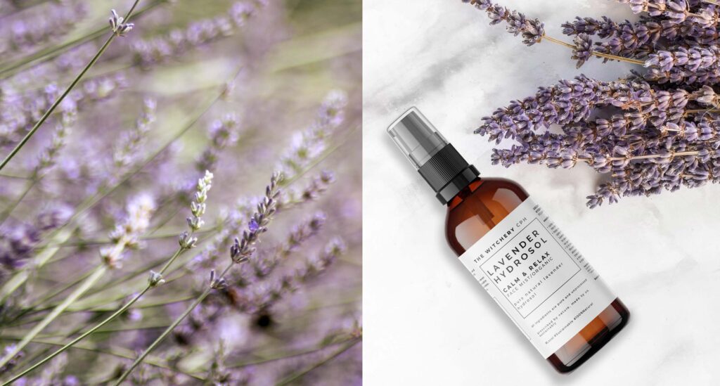 organic lavender hydrosol for calm and relaxation