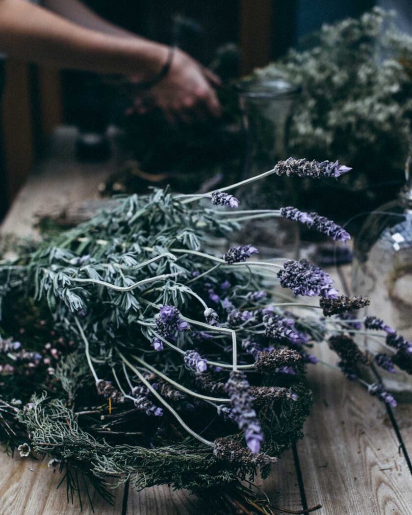 lavender skin and hair benefits