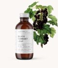 black currant leaf skin tonic for mature skin the witchery cph