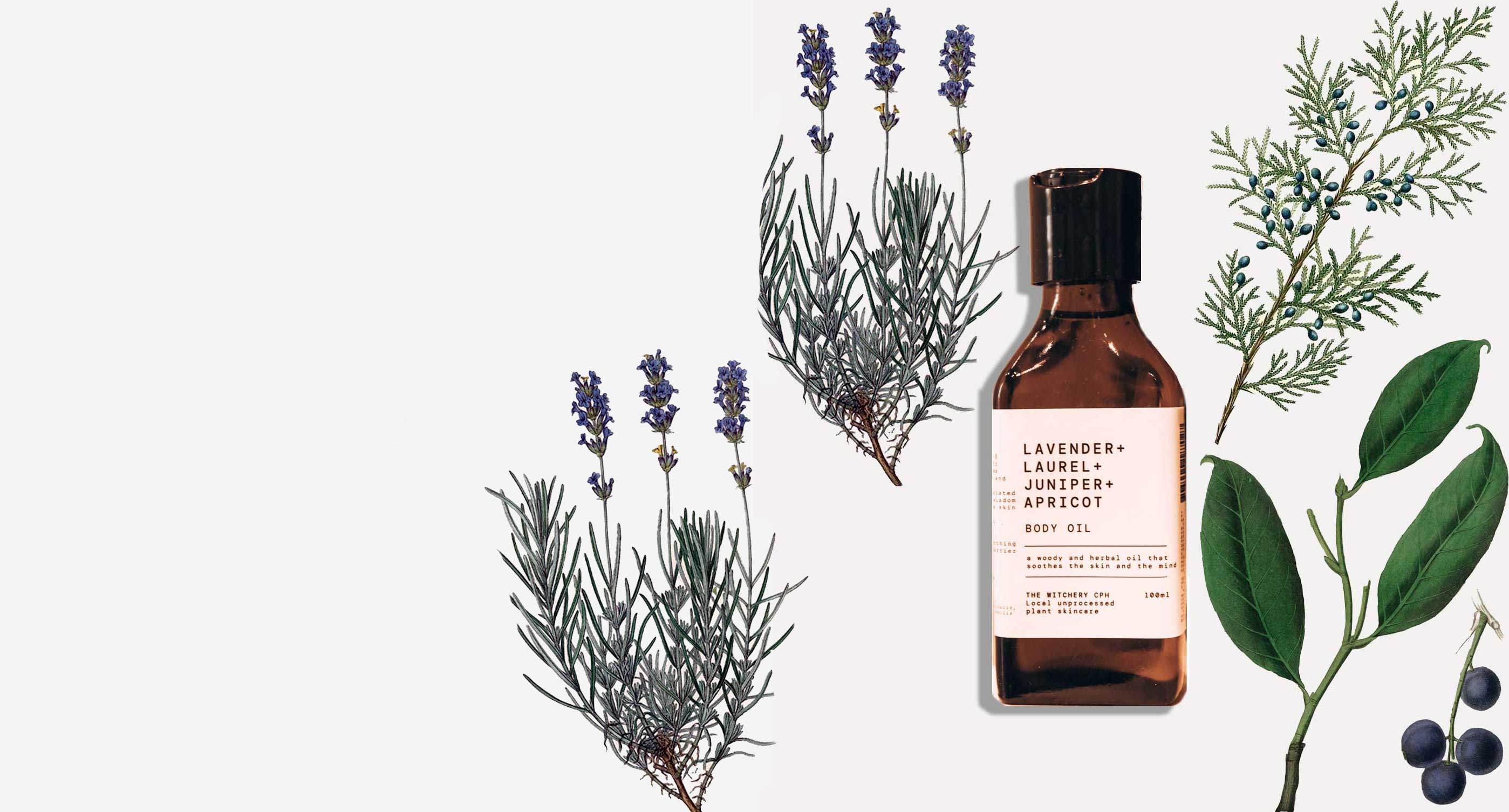 <br />
WOODY AND EARTHY NOTES<br />
OF LAVENDER + LAUREL OIL   