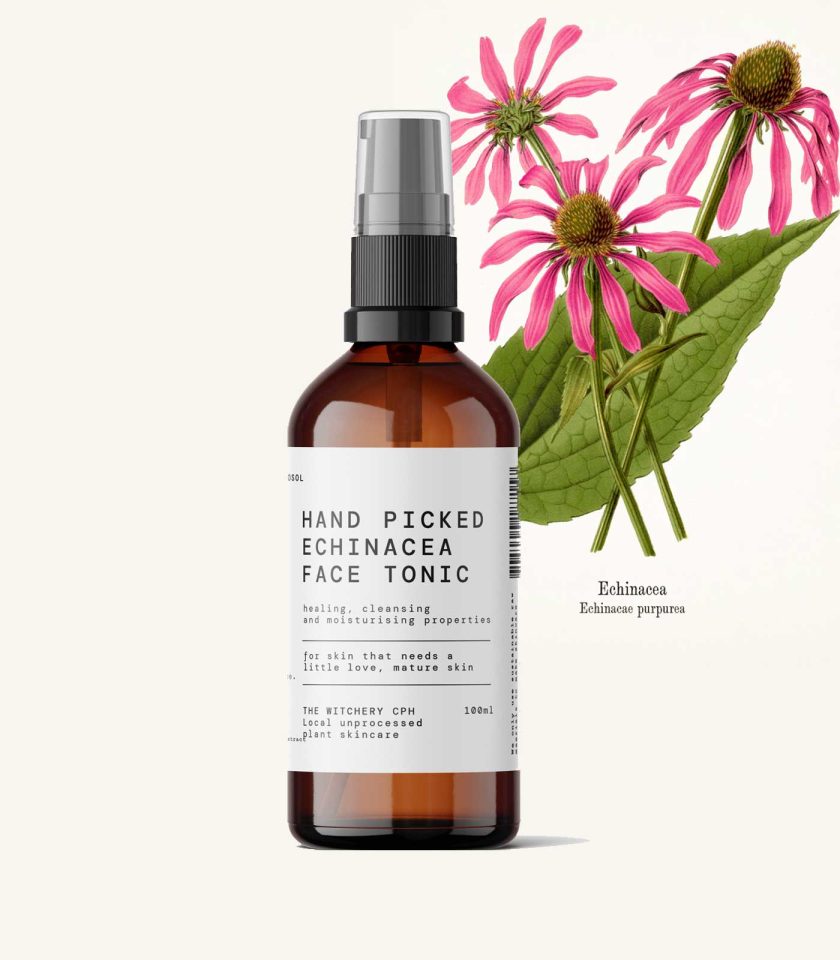 organic Echinacea face tonic, natural hydrosol