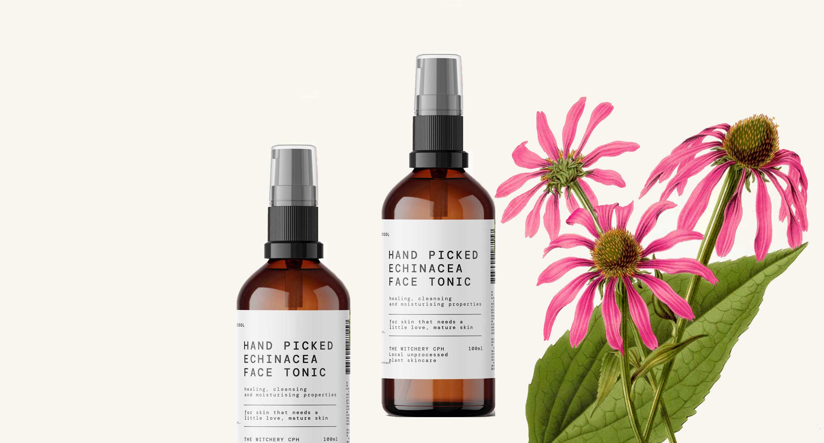 <br />
<span style="color: #ffffff;">ECHINACEA</span><br />
<span style="color: #ffffff;">SKIN BENEFITS</span> 