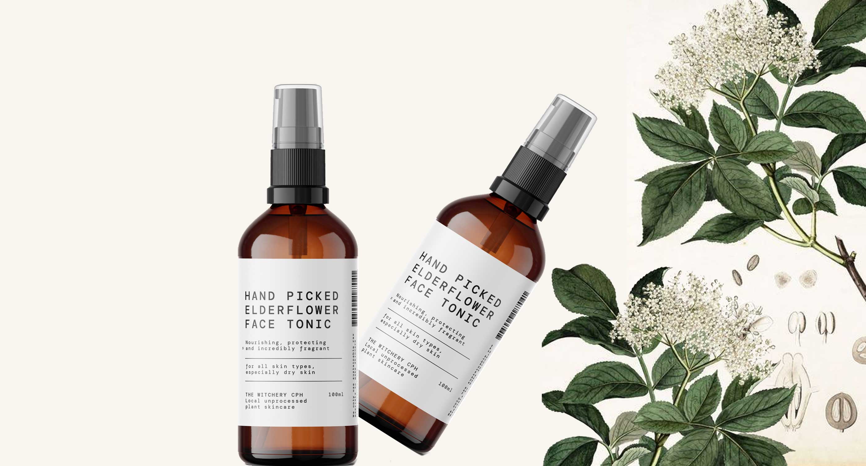 <br />
ELDERFLOWER<br />
SKIN BENEFITS 