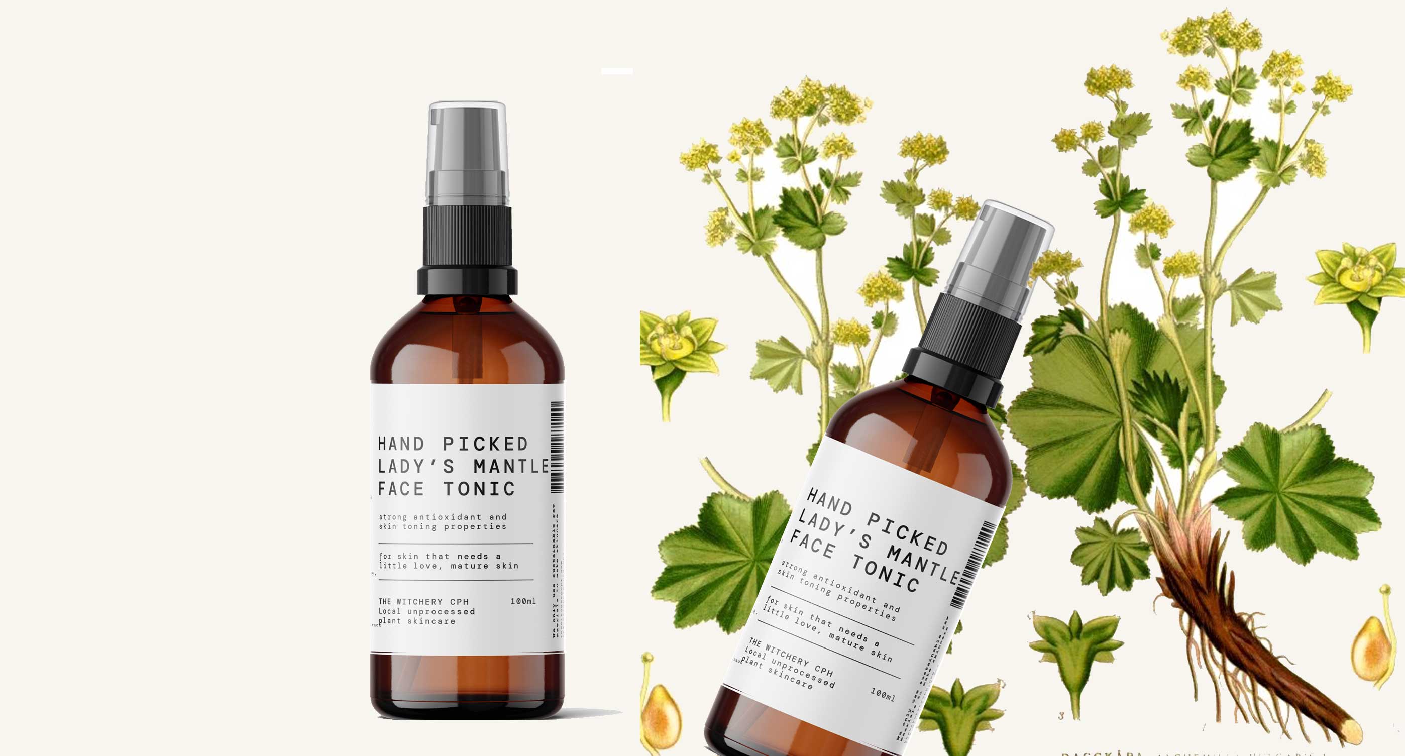 <br />
LADY’S MANTLE<br />
SKIN BENEFITS 