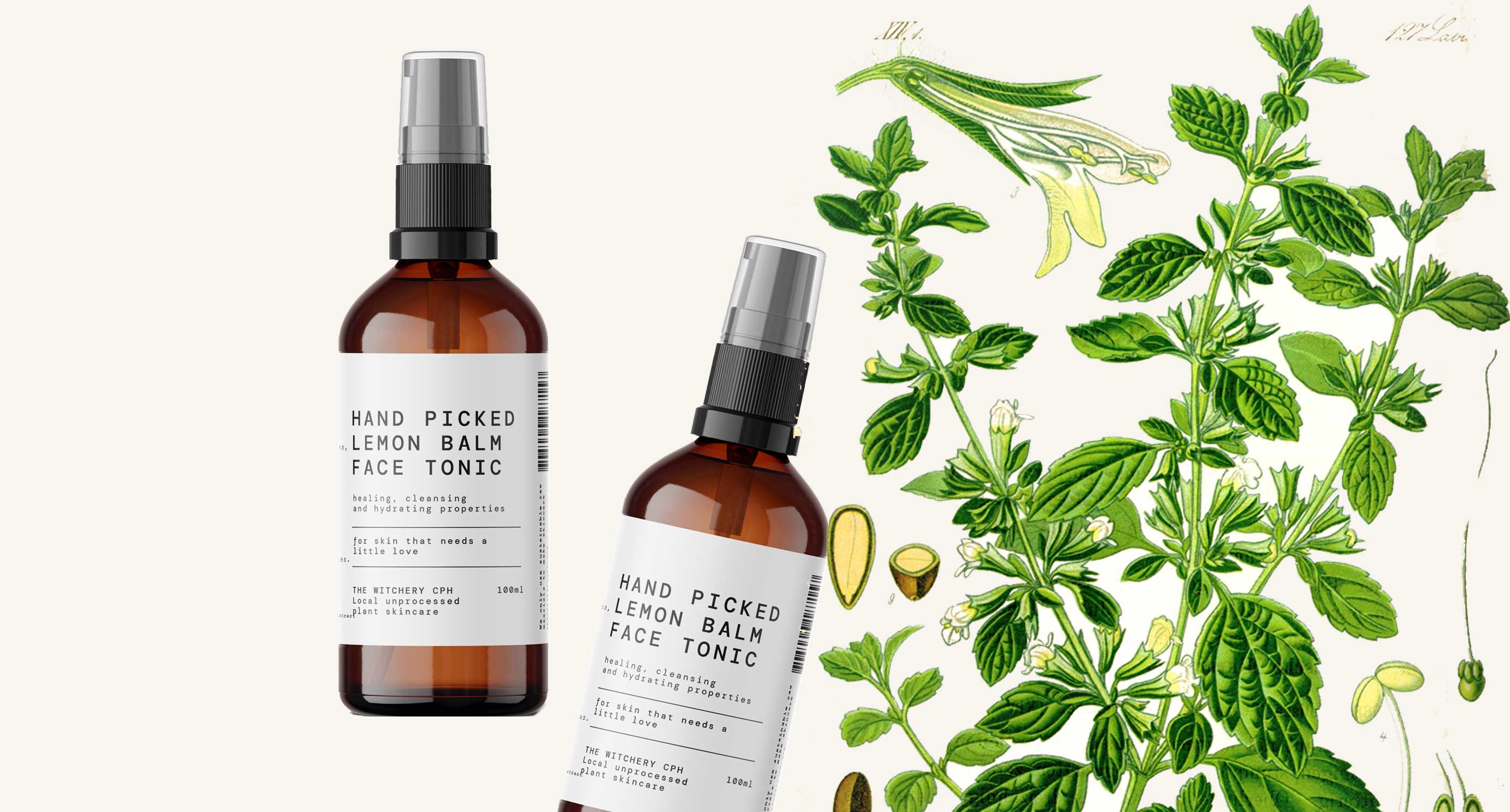 <br />
LEMON BALM<br />
SKIN BENEFITS 