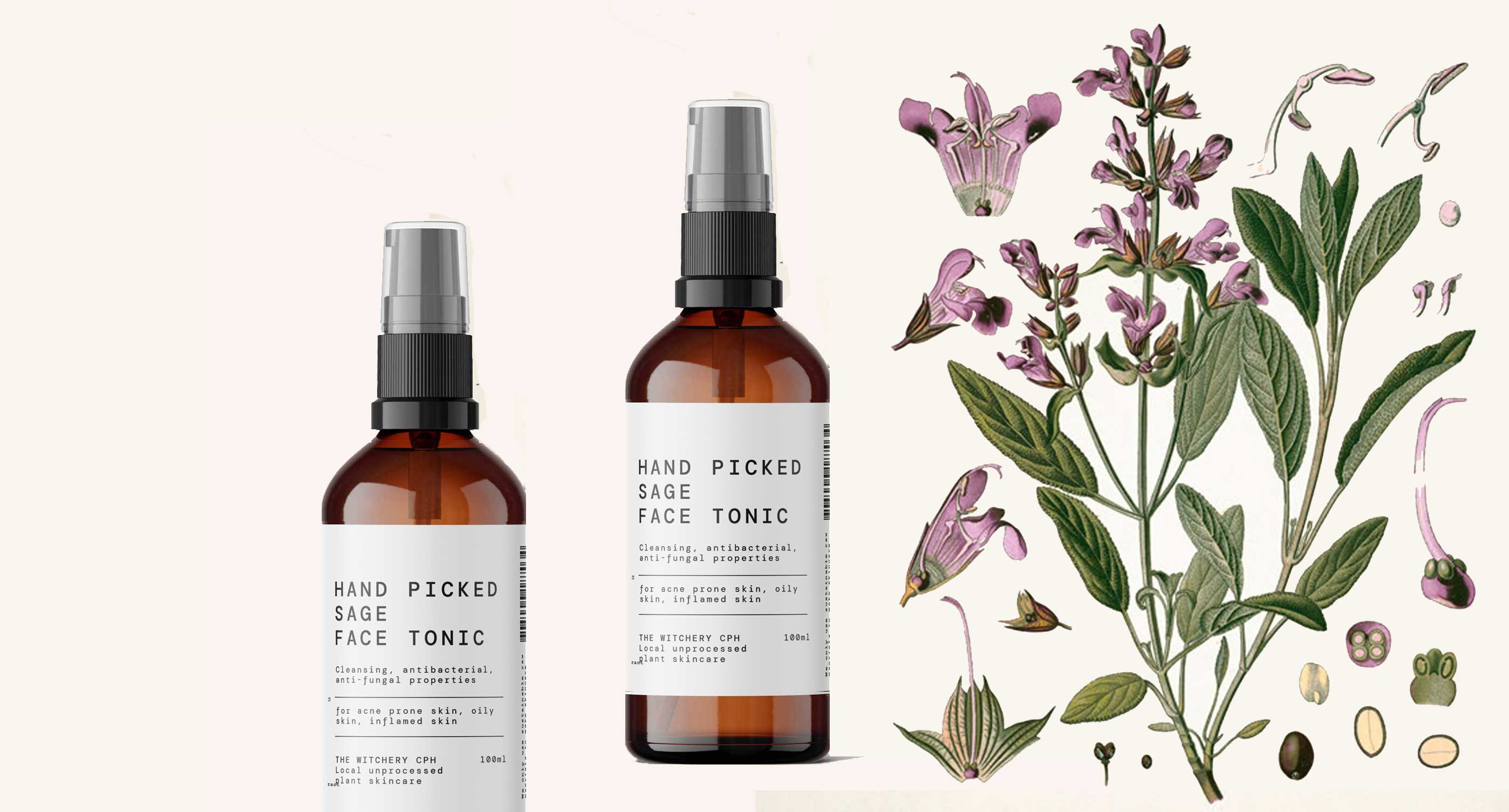 <br />
ELDERFLOWER<br />
SKIN BENEFITS 