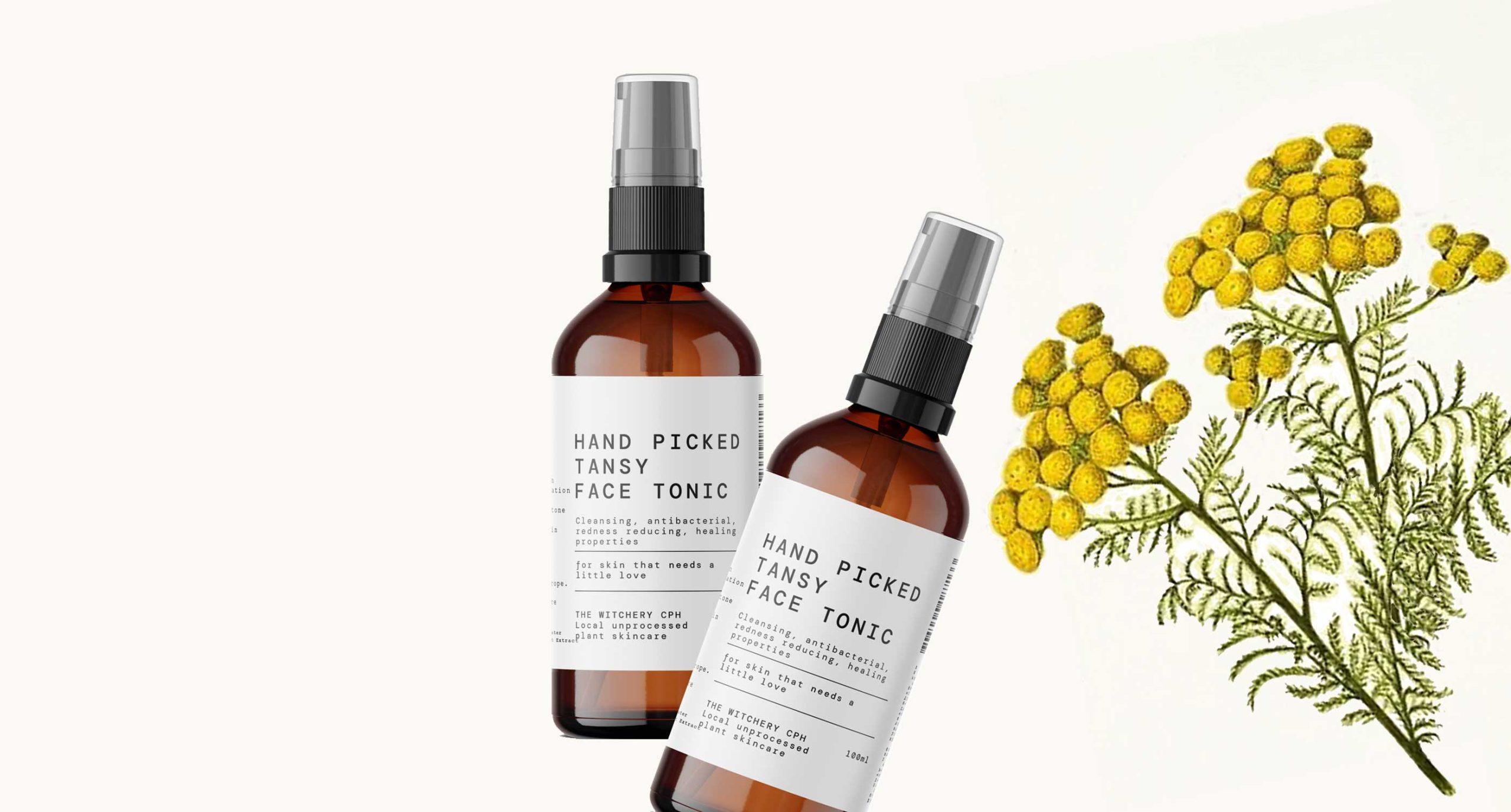 <br />
TANSY<br />
SKIN BENEFITS 