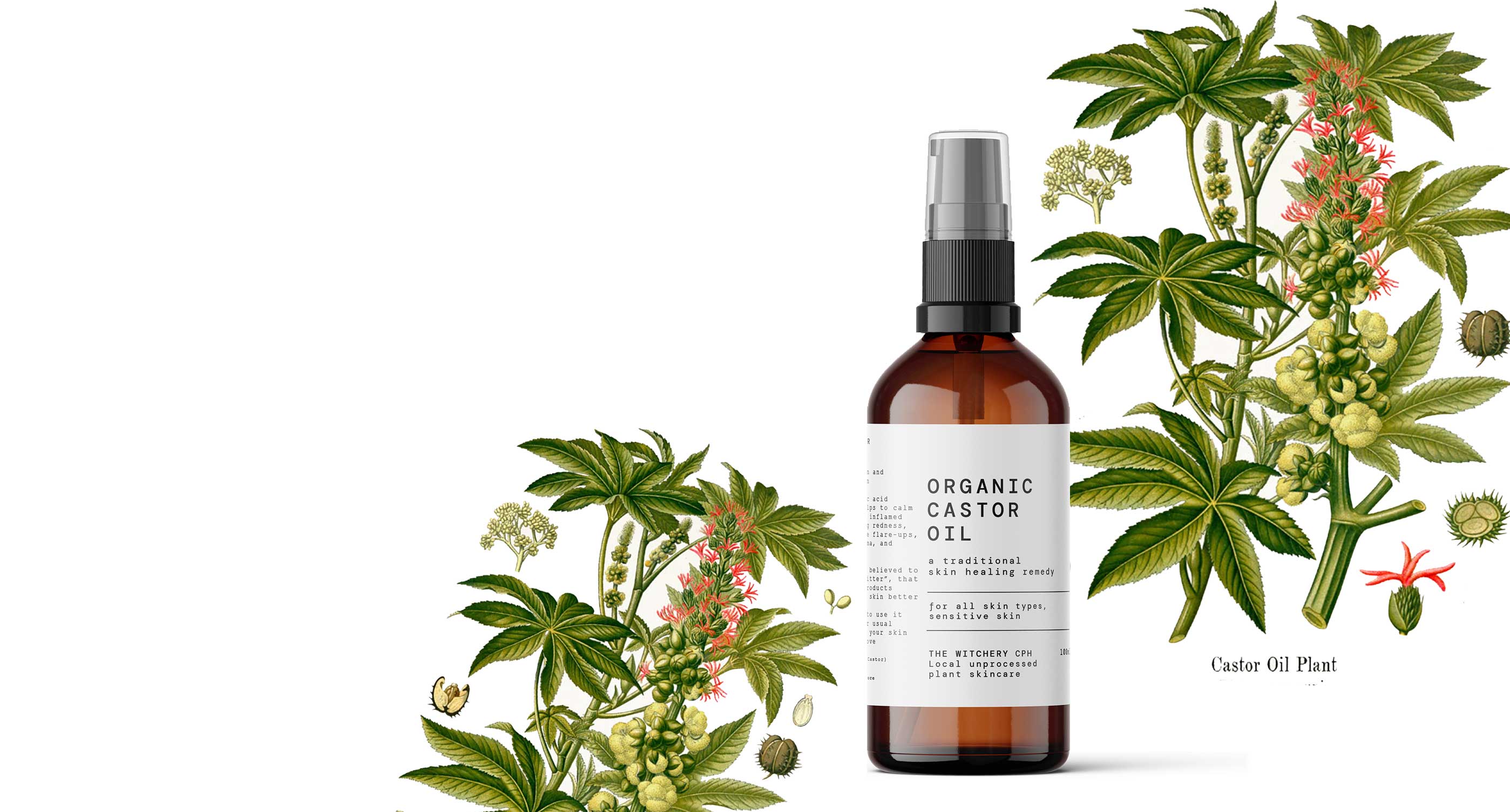 <br />
ORGANIC<br />
CASTOR OIL